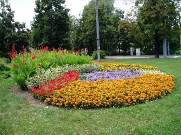 Květinové záhony