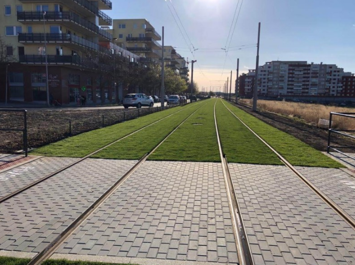TerraCottem Turf