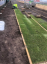 TerraCottem Turf