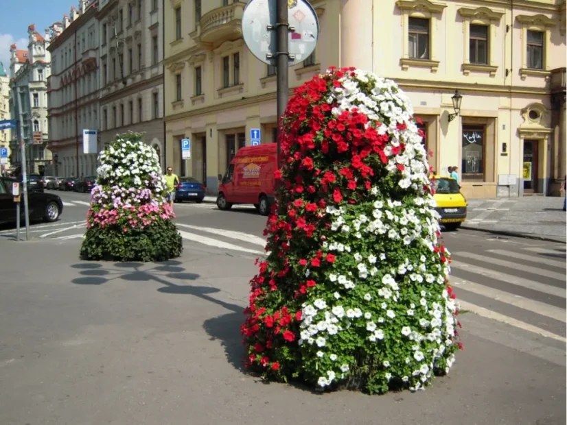 Květinová pyramida