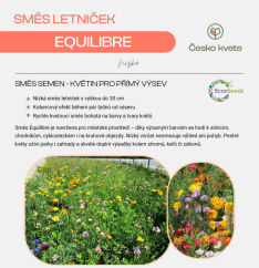 Dekorativní směs 13 letniček - Equilibre