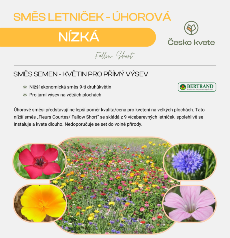 Úhorová směs 13 letniček - Douce France