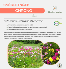 Dekorativní směs 12 letniček - Chrono